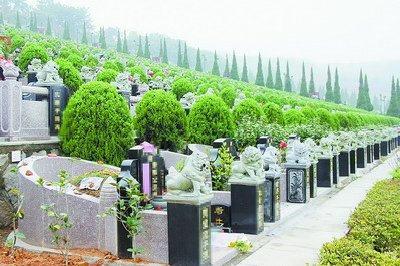 沈陽公墓網(wǎng)告訴你公墓的石獅子擺放位置